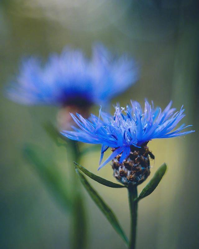 2018ĂԺȫ䴩ģhղأ